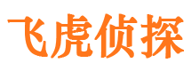 当雄捉小三公司